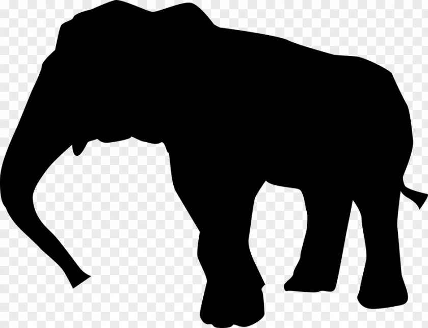 Elephant Asian African Elephants In Thailand Clip Art PNG