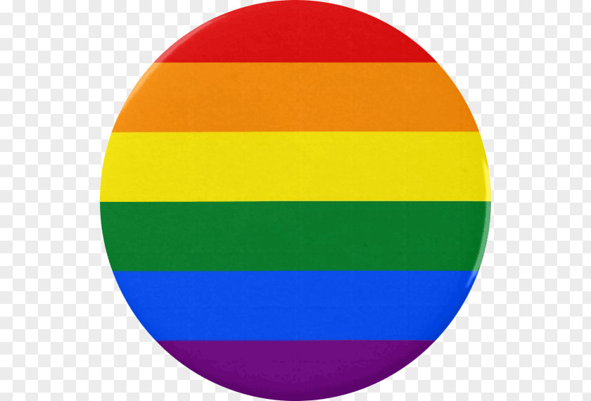 Rainbow Flag Gay Pride LGBT Parade PNG flag pride parade, others clipart PNG