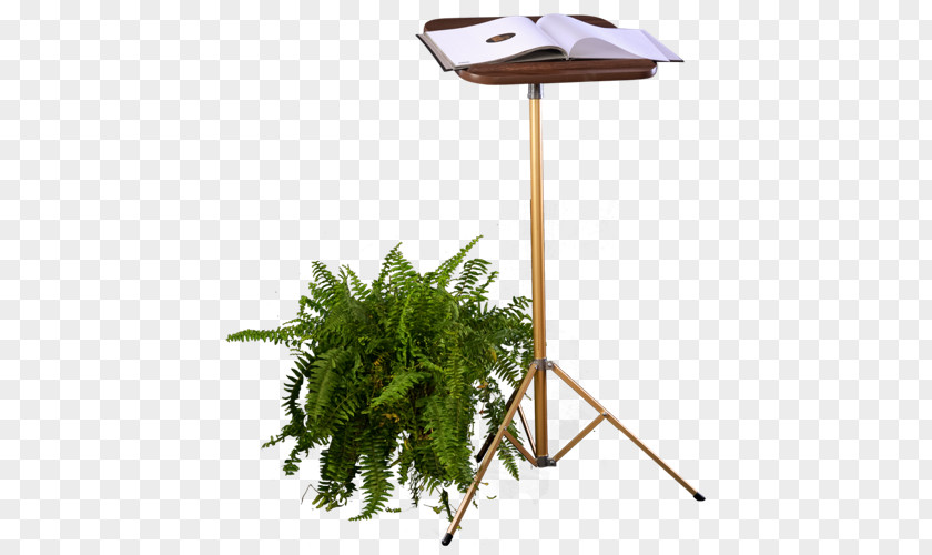 Tree Product Design Flowerpot PNG