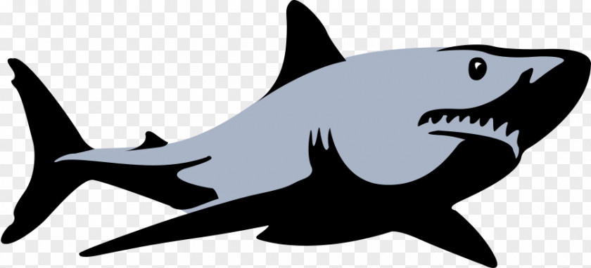 Animal Figure Hammerhead Great White Shark Background PNG