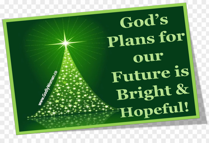 Christmas Tree New Year Brand PNG