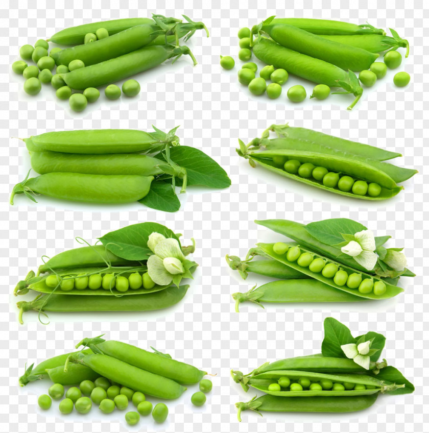 Pea Snap Vegetable Food PNG