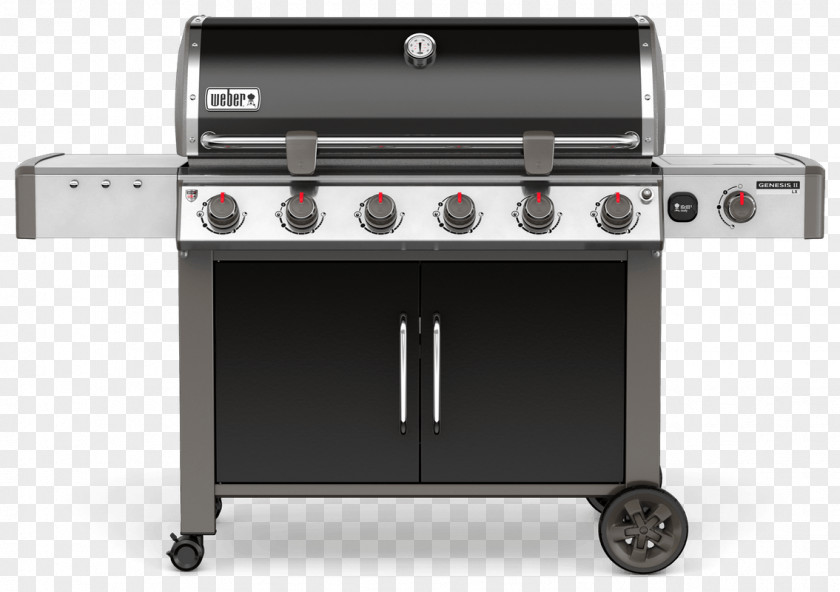 Barbecue Weber-Stephen Products Natural Gas Burner Propane PNG