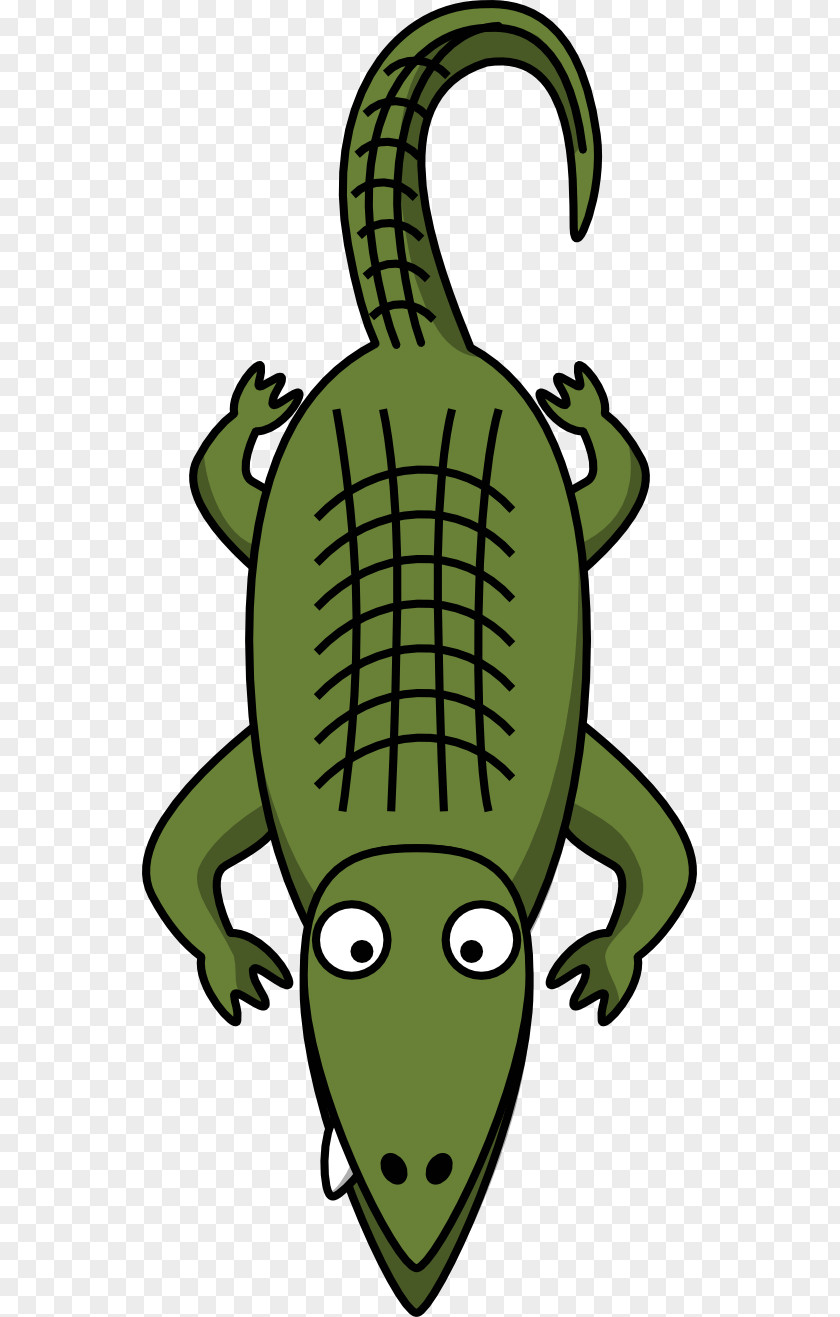 Creative Commons Graphics Alligator Crocodile Free Content Clip Art PNG
