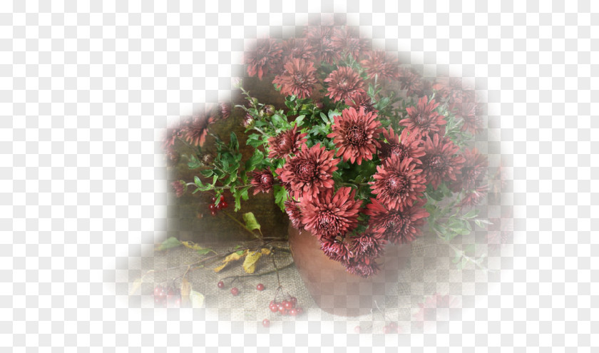Flower Flowerpot High-definition Television Still Life Desktop Wallpaper PNG
