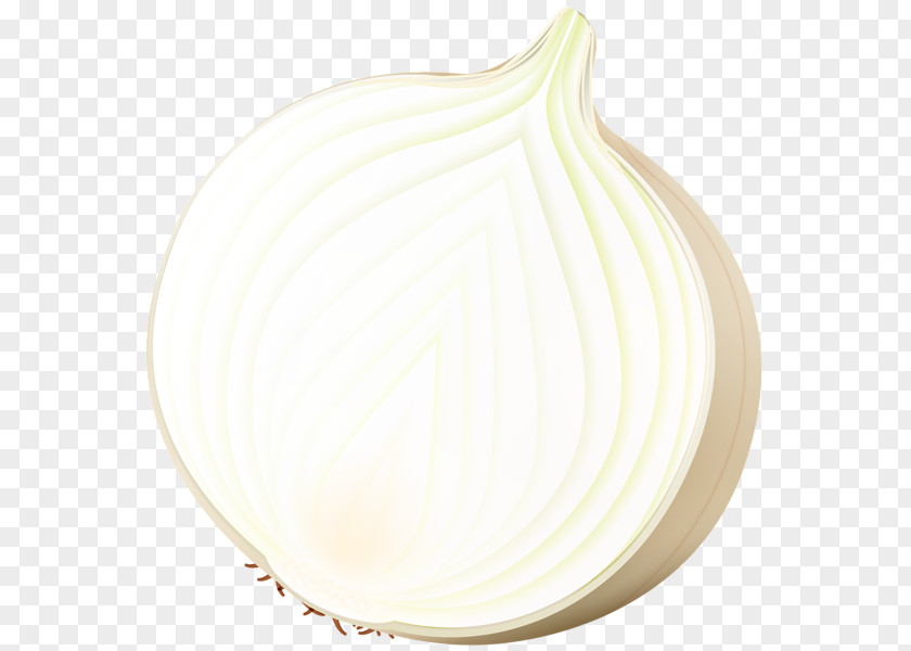 Onion Tableware Plate PNG
