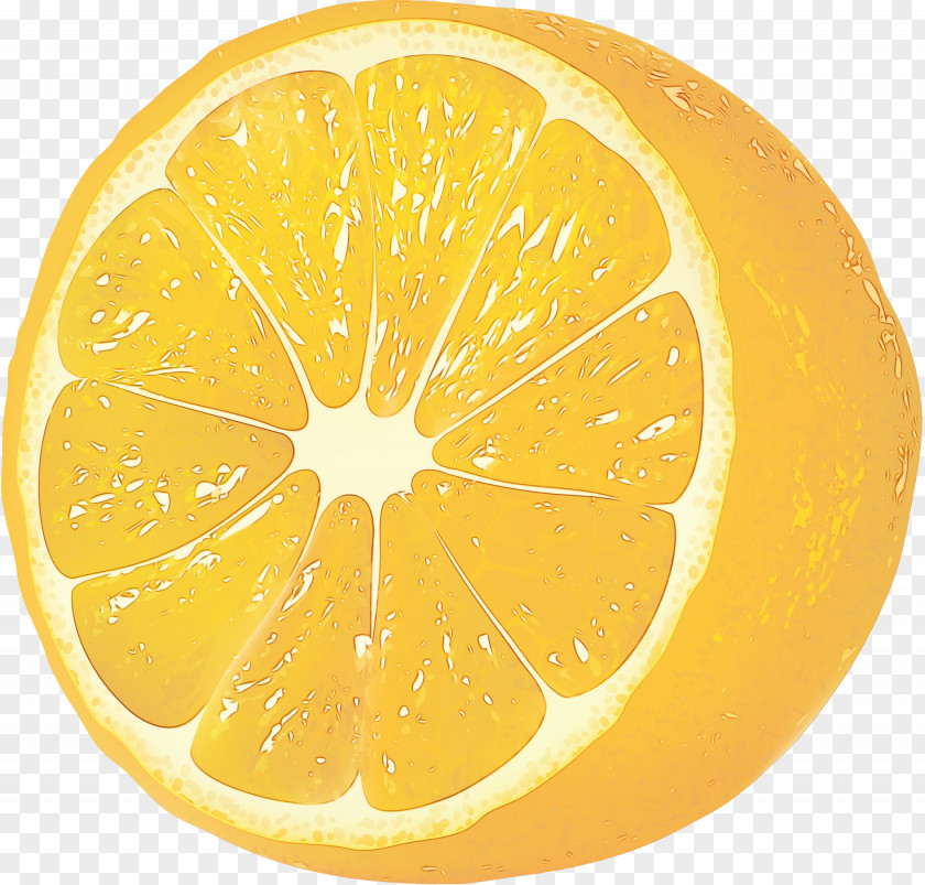 Seedless Fruit Ugli Lemon PNG