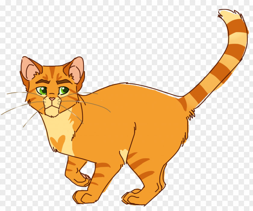 Cat Kitten Tiger Warriors Erin Hunter PNG