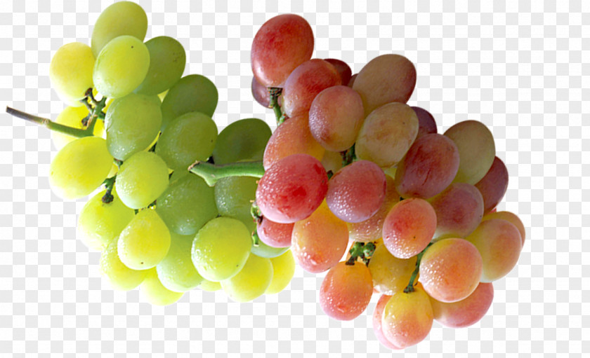 Cyan And Red Two Strings Of Grapes Grape Parras Download PNG
