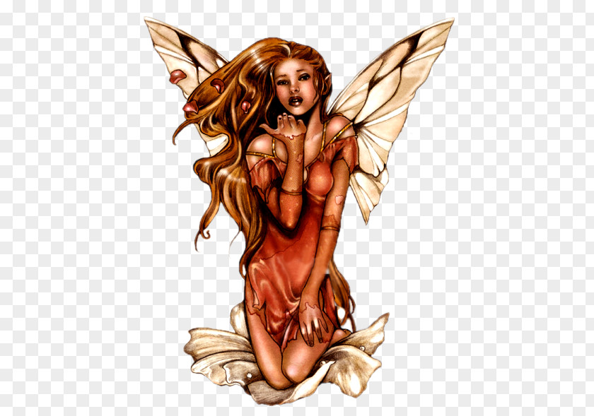 Fairy Mythology Féerie PNG