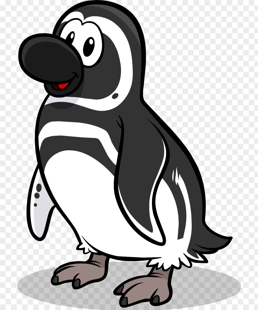 Penguins Club Penguin Island Magellanic Drawing PNG