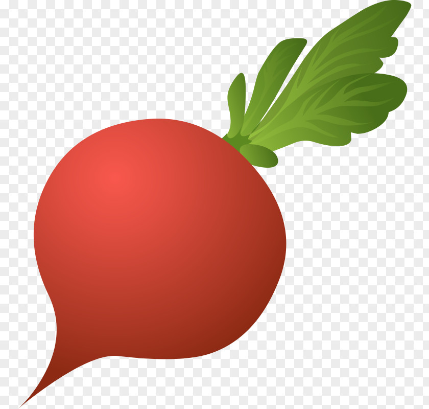 Vegetable Daikon Beetroot Food Clip Art PNG