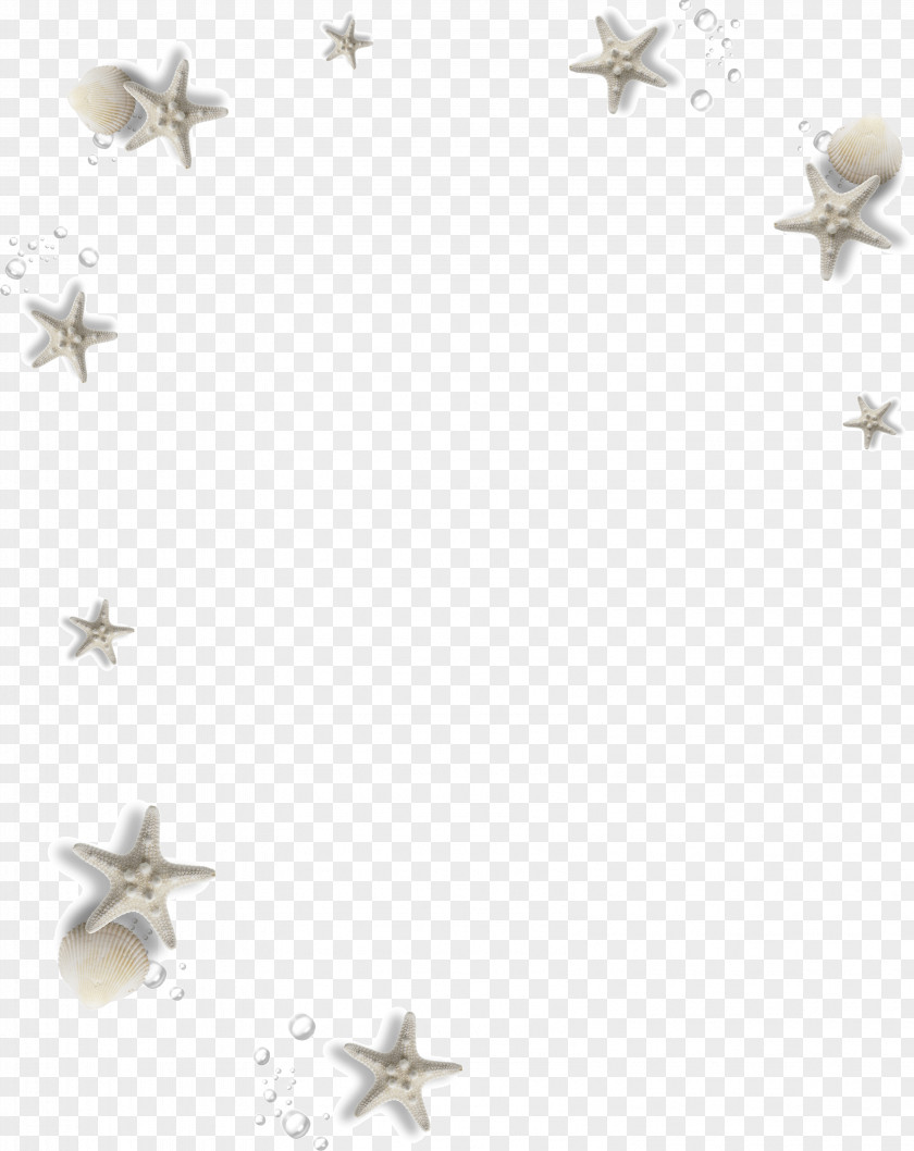 Floating Starfish Adobe Illustrator Download PNG