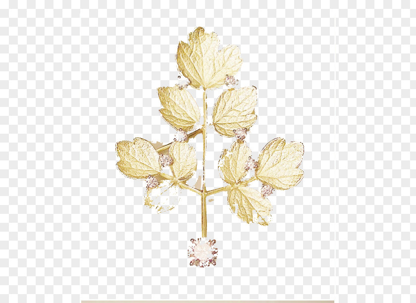 Gold Jewelry Leaf Jewellery PNG