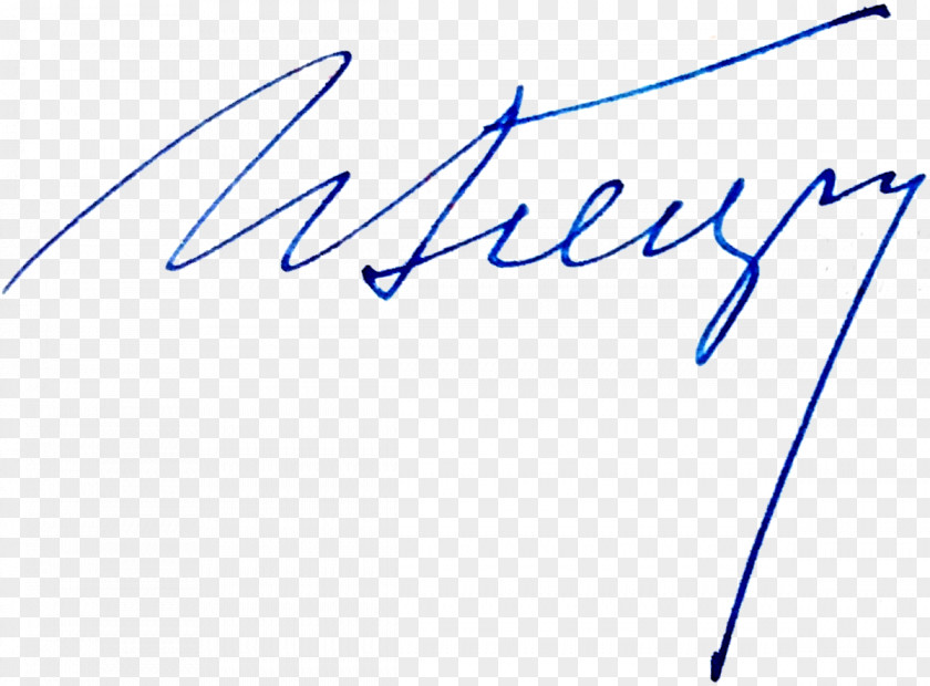 Gotsiridze Handwriting Signature PNG