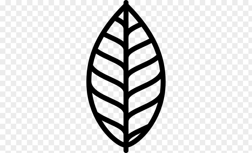 Leaf Clip Art PNG