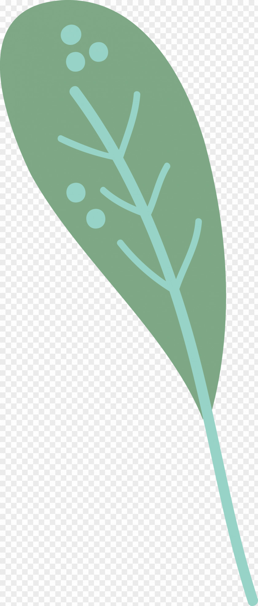 Leaf Font Teal Line Meter PNG