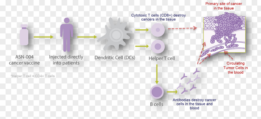 Prevent Cancer Diagram Line PNG