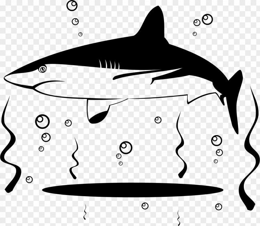 Sharks Great White Shark Fin Soup Clip Art PNG