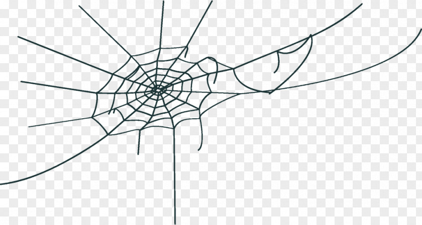 Blackandwhite Symmetry Spider Web Halloween PNG