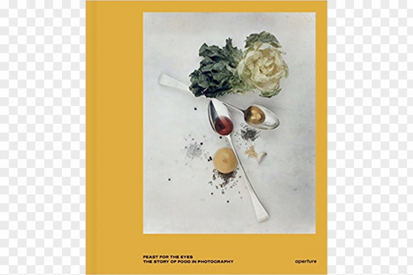 Global Feast For The Eyes: Story Of Food In Photography Something So Clear Visual Feast: Contemporary And Styling PNG