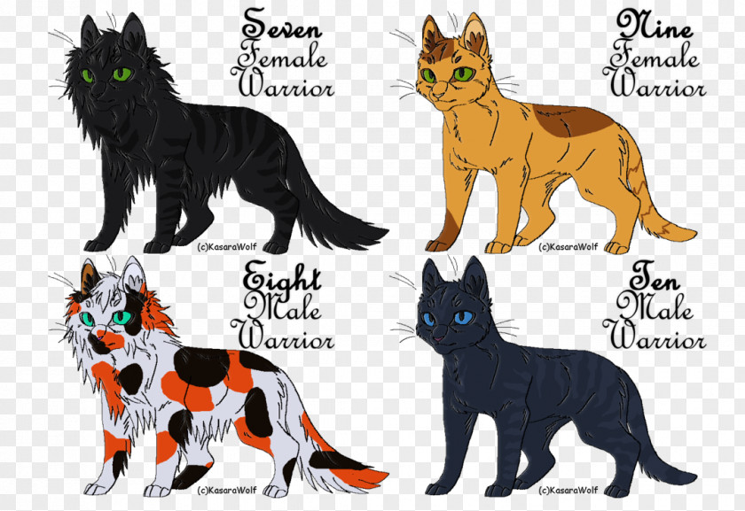 KasaraWolf Warrior Cat Drawings Tiger Art Warriors Canidae PNG