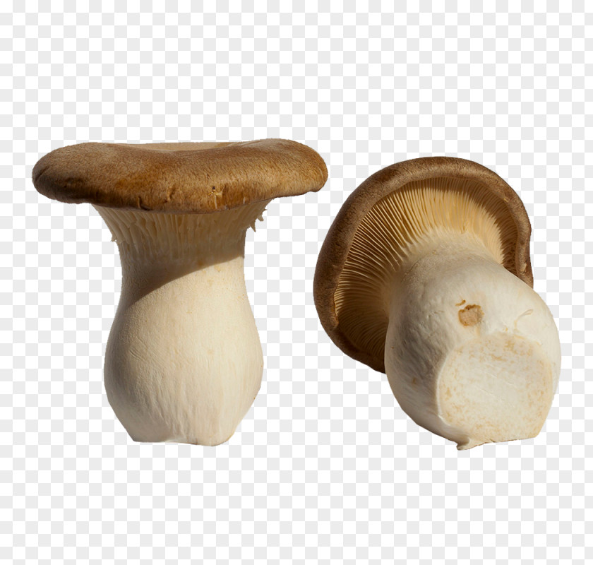 Mushroom Pleurotus Eryngii Boletus Edulis Périgord Black Truffle Food PNG