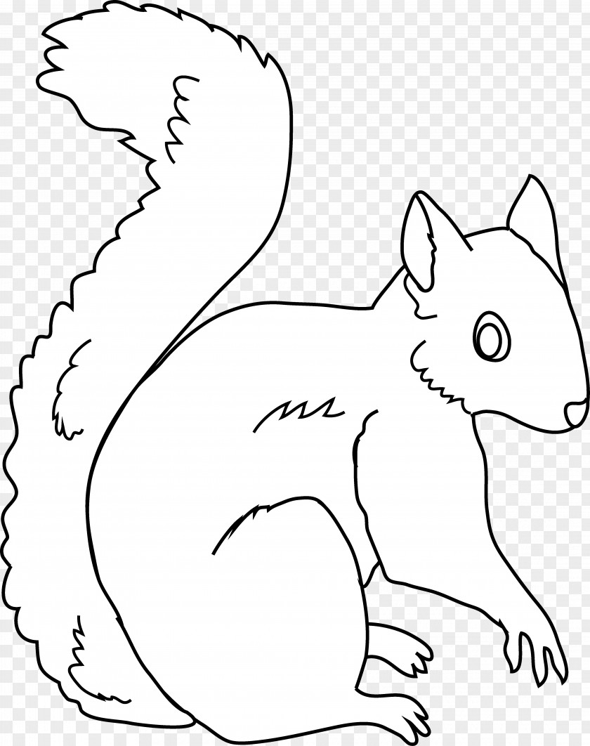 Squirrel Pic Free Content Clip Art PNG
