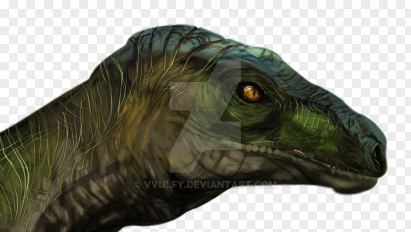 Velociraptor Tyrannosaurus Jurassic Park Fan Art Dinosaur PNG