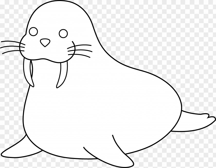 Animal Outlines Walrus Drawing Line Art Clip PNG
