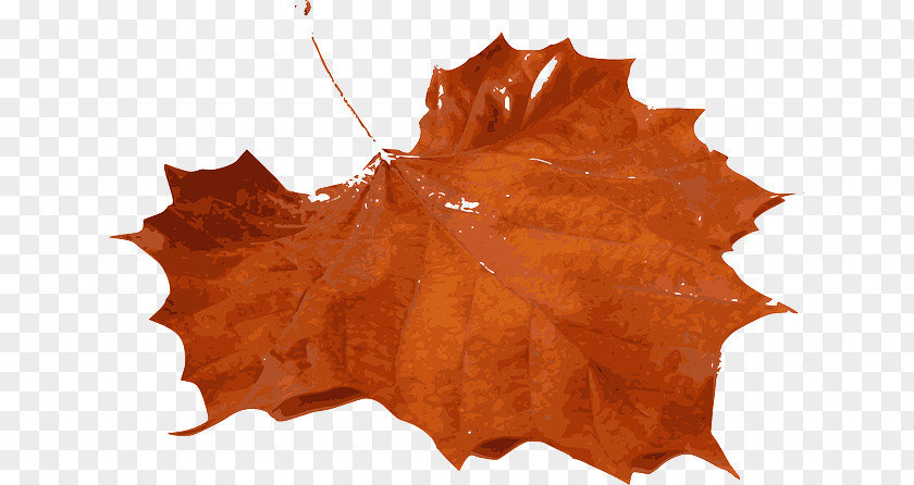 Autumn Leaf Color Maple Clip Art PNG