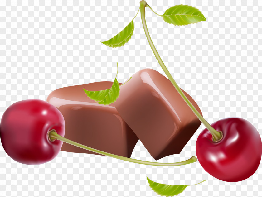 Berries Cherry Chewing Gum Candy PNG