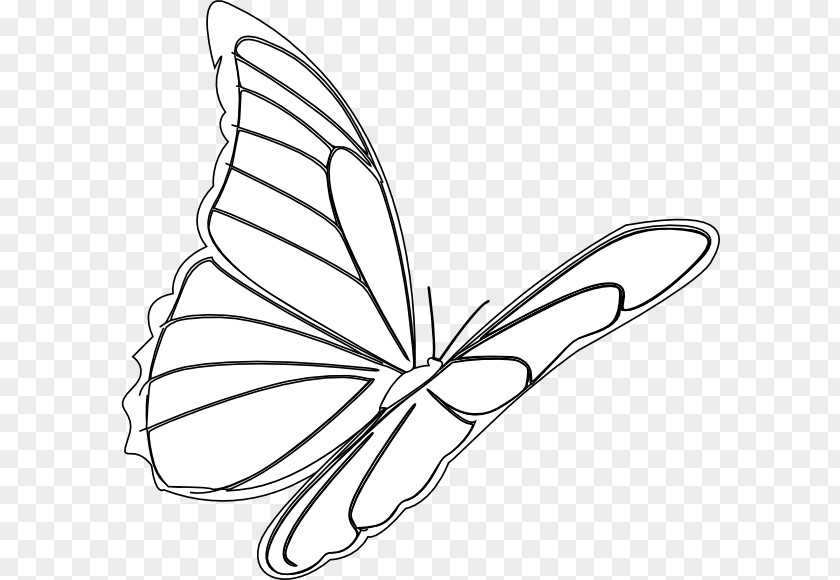 Butterfly Monarch Drawing Flight Clip Art PNG