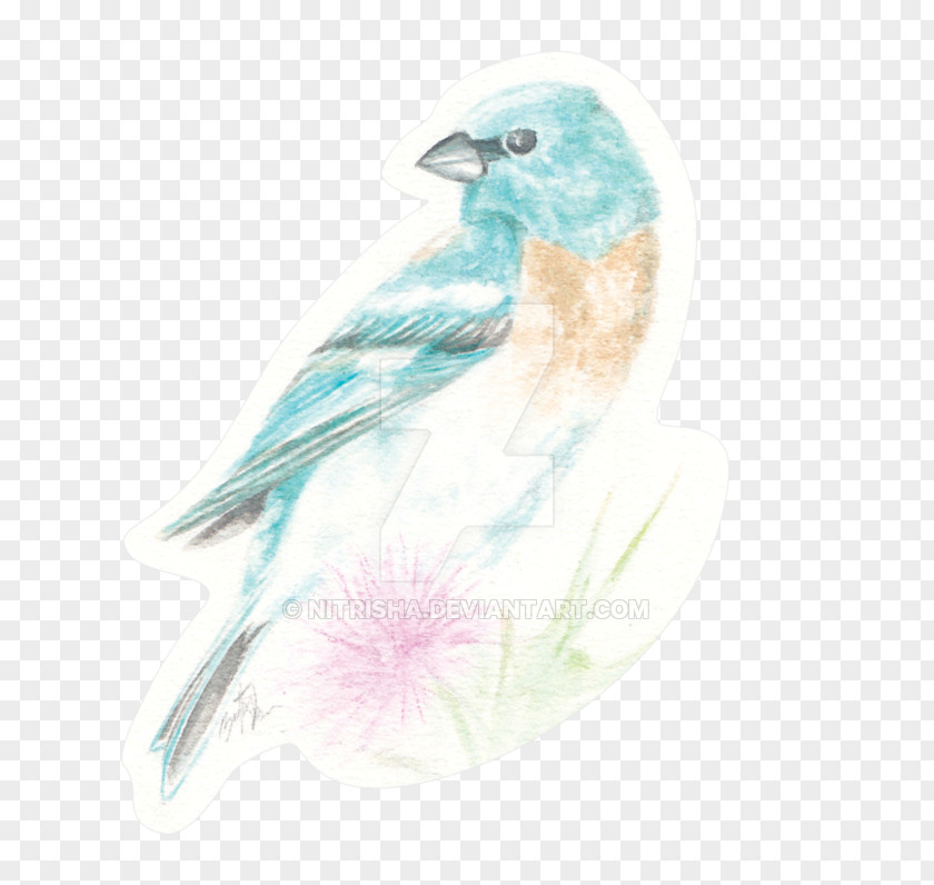 Finch Songbird Watercolor Background PNG