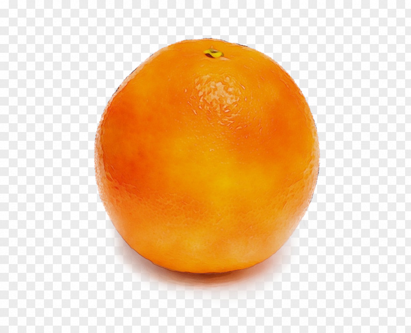 Grapefruit Kumquat Orange PNG