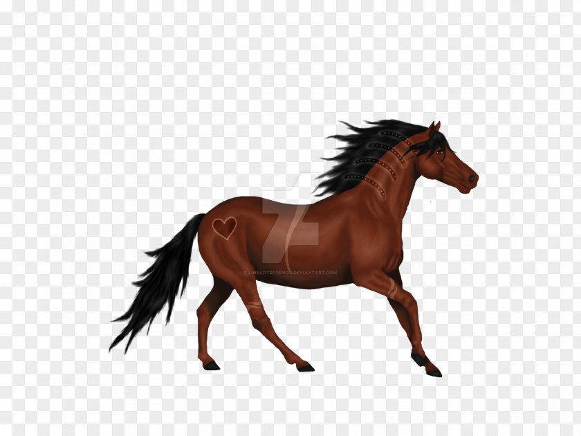 Horse Stallion Mane Rein Pony PNG