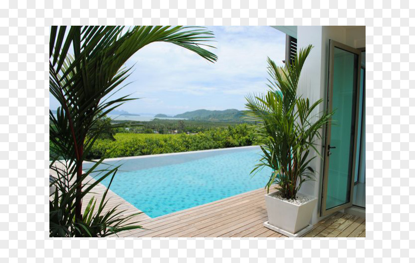 Vacation Majorelle Garden Arecaceae Blue Swimming Pool Resort PNG