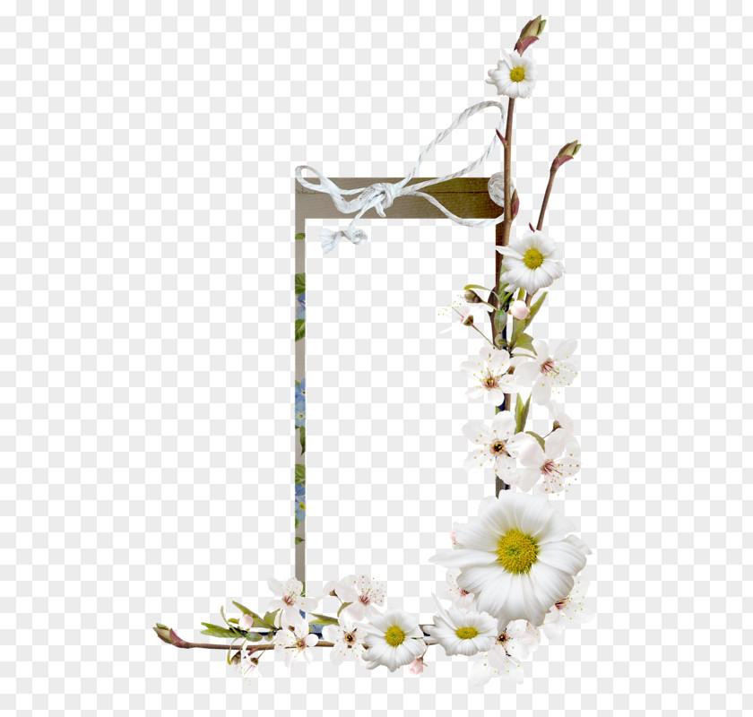 Camomile Floral Design Flower Adobe Photoshop PNG