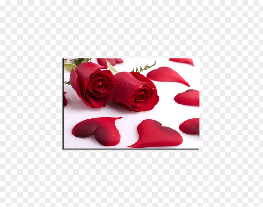 Heart Rose Valentine's Day Red PNG