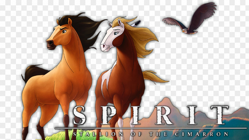 Horse American Frontier Film DreamWorks Nothing I've Ever Known PNG