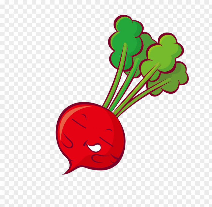Carrot Q-version Radish Vegetable PNG