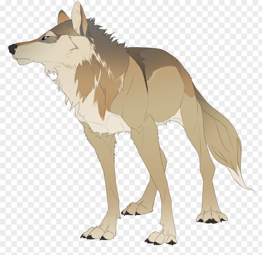 Dog Coyote Gray Wolf Drawing DeviantArt PNG