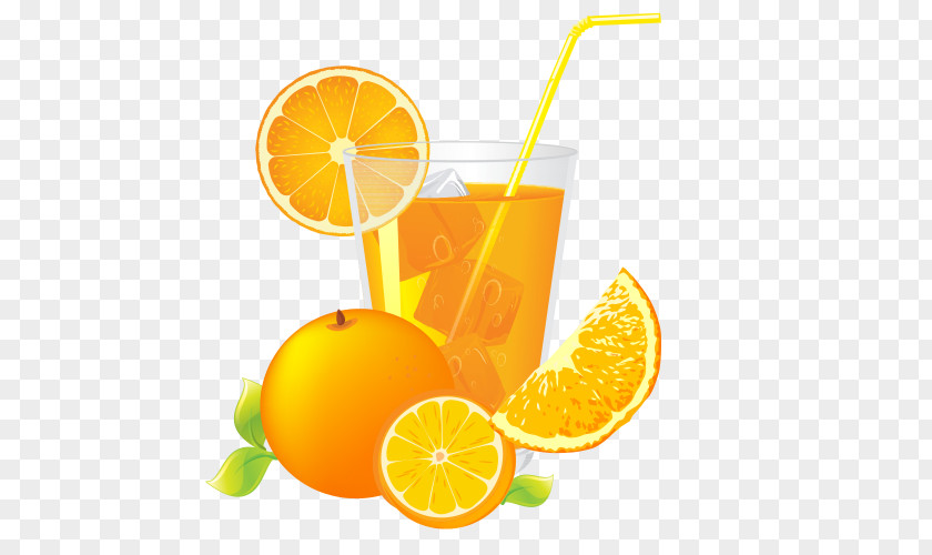 Fuzzy Navel Valencia Orange Apple Cartoon PNG