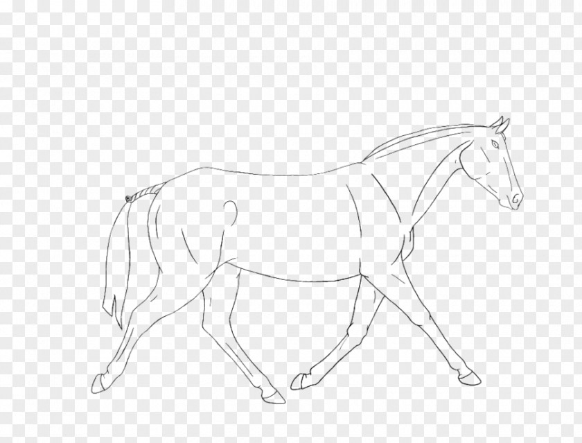 Mustang Mane Bridle Foal Stallion Colt PNG