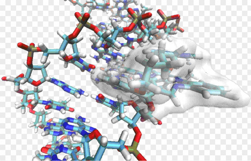 Self Induce Ruđer Bošković Institute Biochemistry Bijenička Cesta Technology PNG