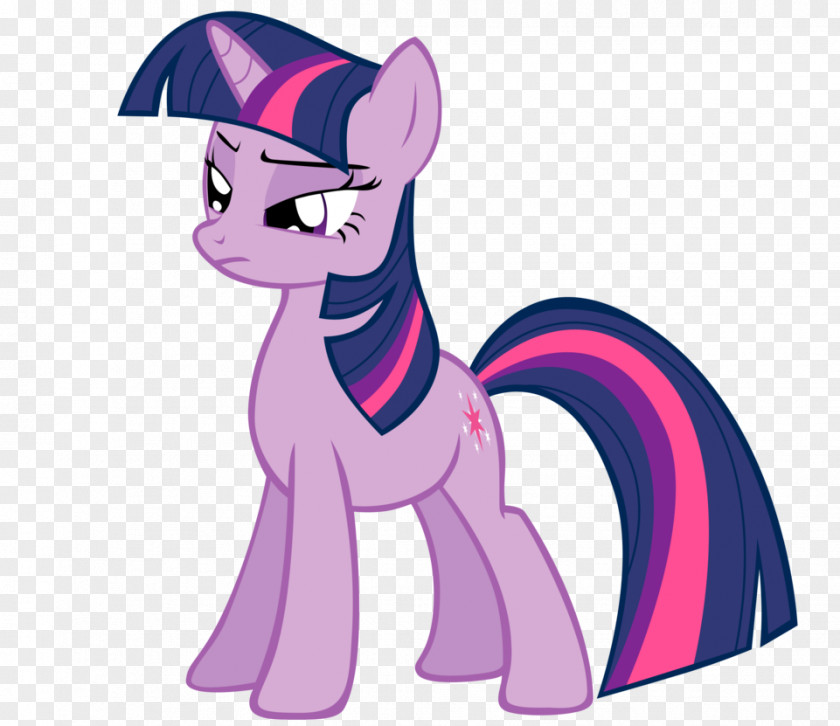 Twilight Sparkle Rainbow Dash Pinkie Pie Rarity Pony PNG