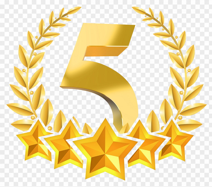 5 Stars STEADfast IT Star Customer Service Home Care Hospital PNG