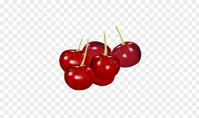 Cherry Fruit Flavor Clip Art PNG