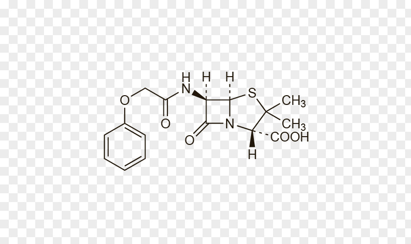 Gamma Globulin Ampicillin Benzylpenicillin Amoxicillin Antibiotics PNG