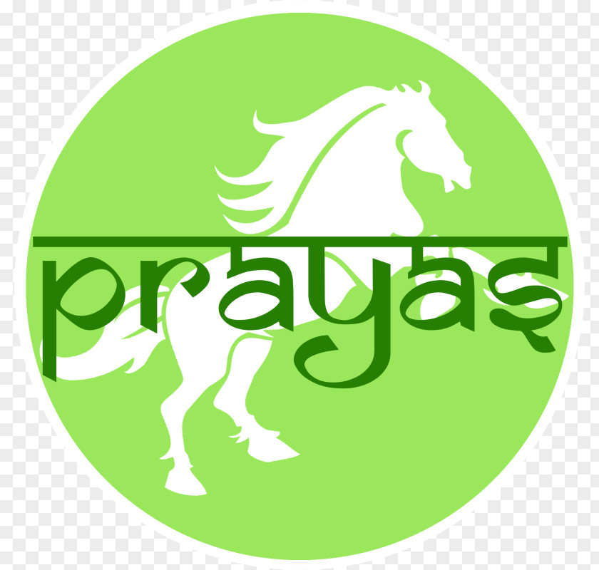 Horse Logo Illustration Clip Art Brand PNG
